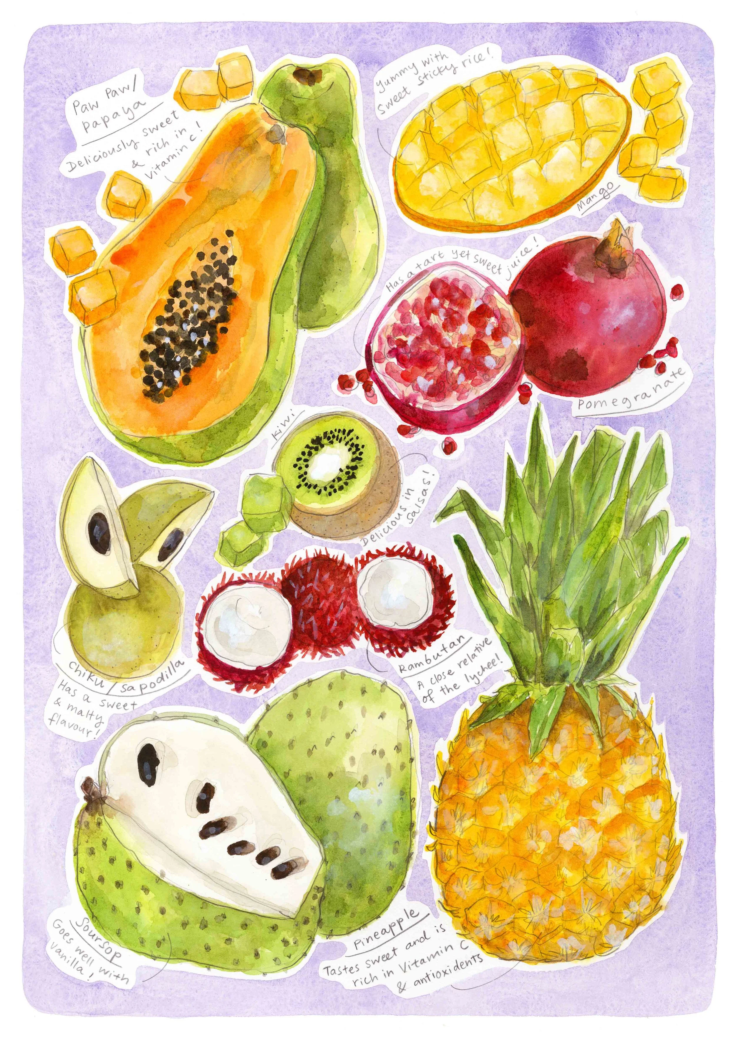 Tropical Fruit Chart I — Dawn Tan
